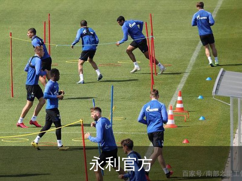 永利官方简介